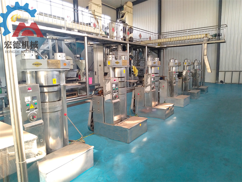 牡丹籽榨油設備