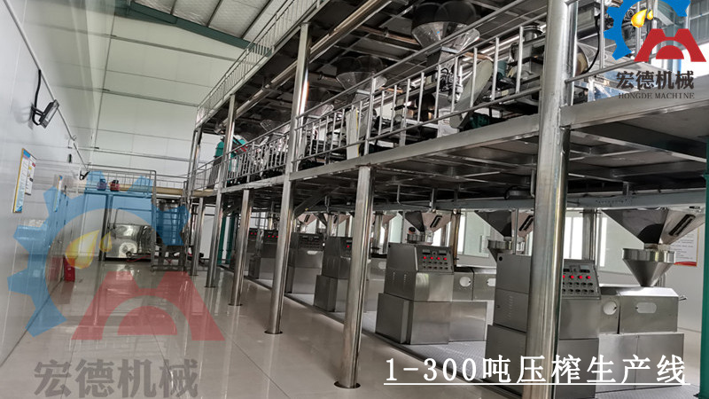 花生油壓榨生產(chǎn)線