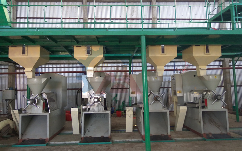 <a href=http://www.dreamgarden.cn/zhayouji/ target=_blank class=infotextkey>榨油機(jī)</a>