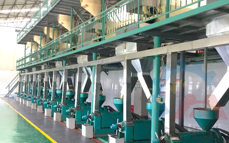 濃香菜籽油生產(chǎn)線客戶現(xiàn)場