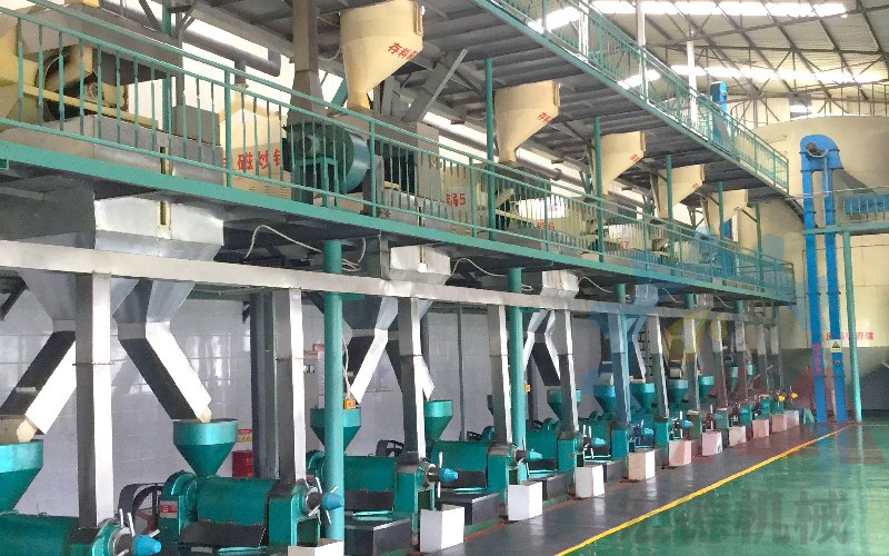 宏德菜籽榨油生產(chǎn)線現(xiàn)場實拍