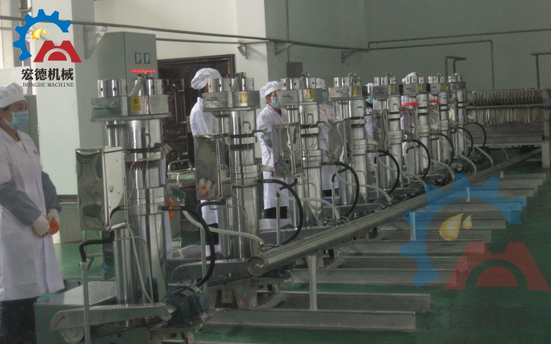 核桃油壓榨生產(chǎn)線